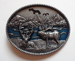 HX241 western buckle